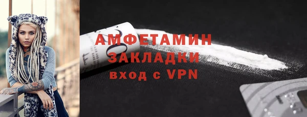 прущие грибы Балабаново