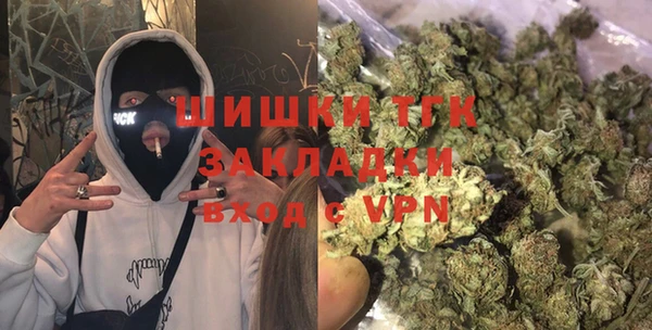 прущие грибы Балабаново